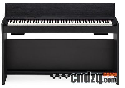 演绎殿堂荣光 解密 2009 年 “good design” 大奖电钢琴获奖主——Korg 与 Casio 的制胜之道